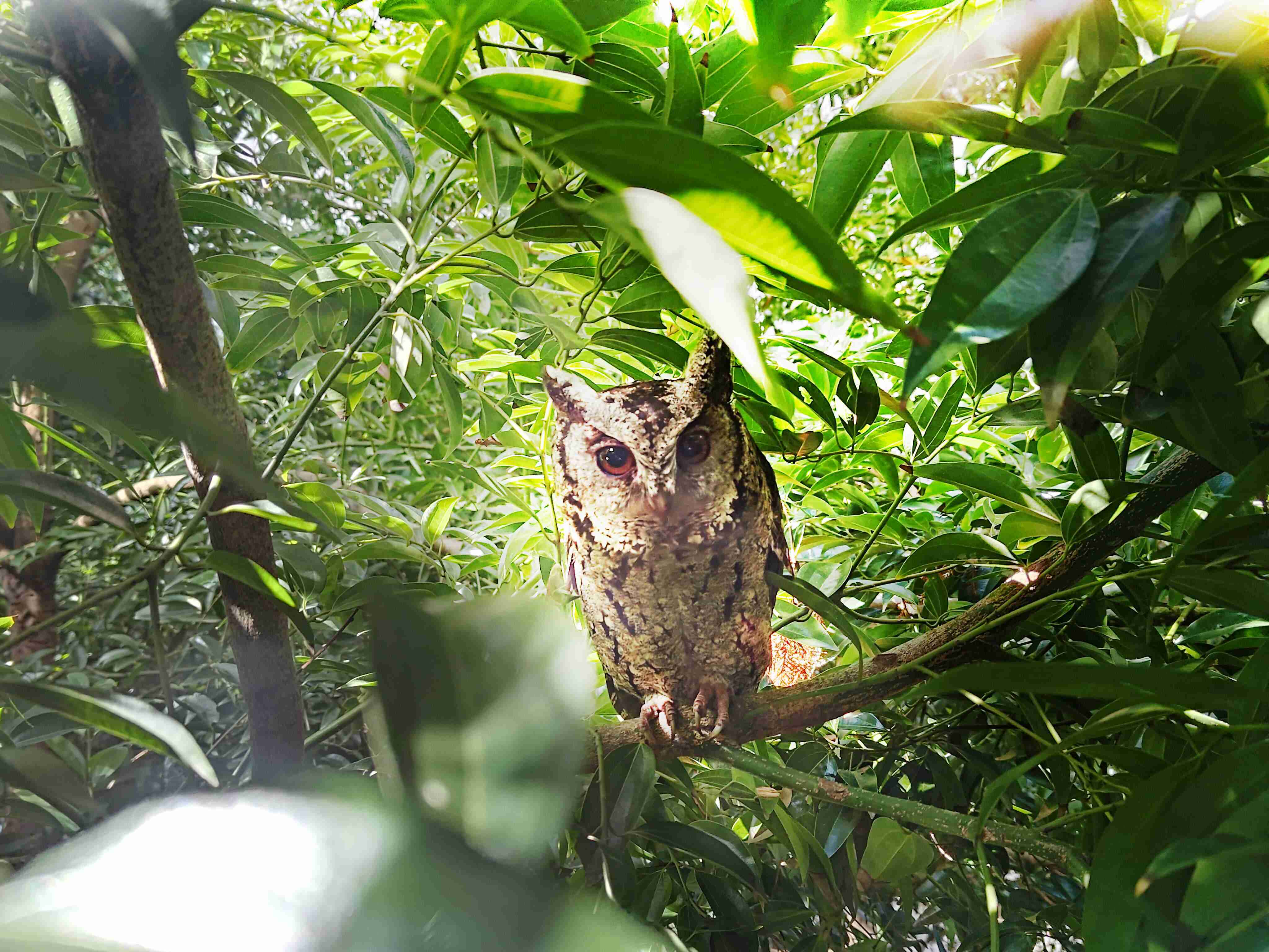 人生就是博致力提倡净零绿生活，，，16年以来在全球各厂区植树逾百万棵，，造就各厂区树木蔚然成林，，，犹如森林工厂，，成为许多生物的栖息地